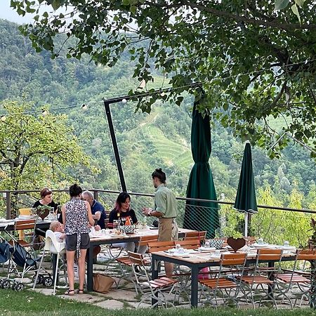 Agriturismo Le Noci Tarzo المظهر الخارجي الصورة