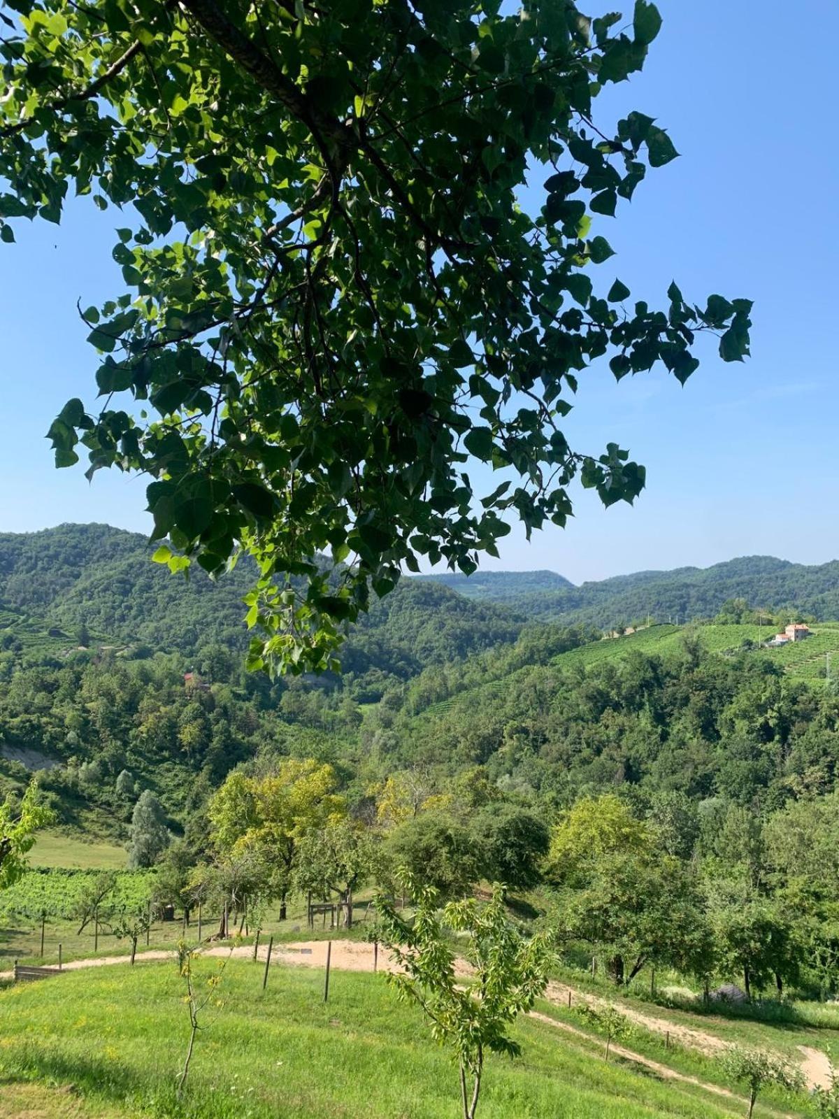 Agriturismo Le Noci Tarzo المظهر الخارجي الصورة