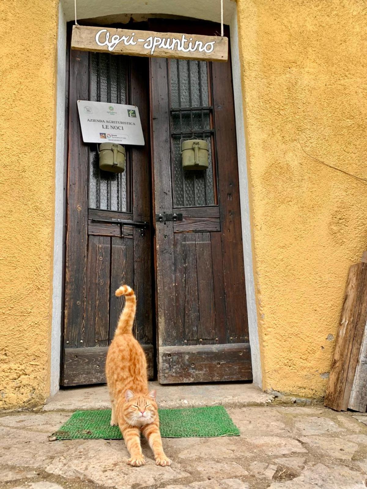 Agriturismo Le Noci Tarzo المظهر الخارجي الصورة